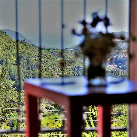 Alaturka Uzumlu (Mediterranean)