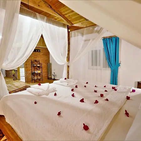 Villa Alaturka *