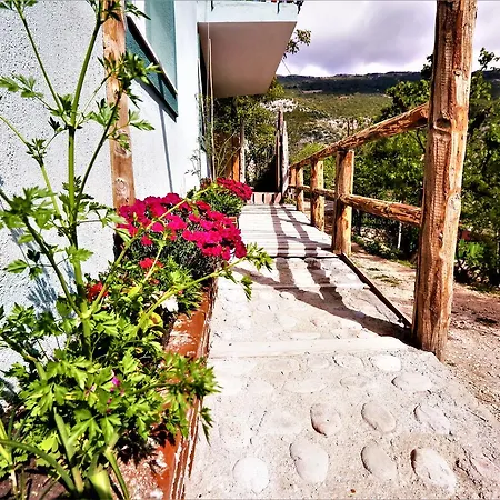Alaturka Uzumlu (Mediterranean)