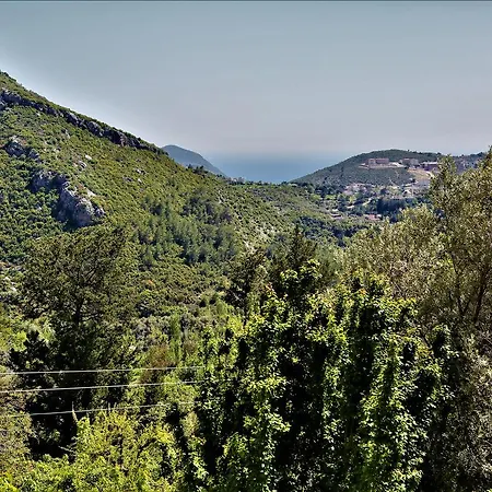 Alaturka Uzumlu (Mediterranean)